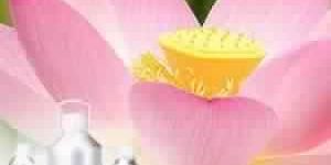 Lotus Oil