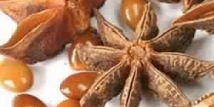 Star Anise Oil