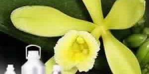 Vanilla Oil