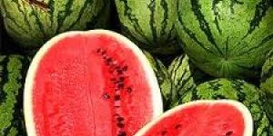 WATER MELON OIL