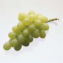 Fresh Green Grapes