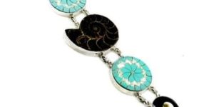 Big Special Moment! 925 Silver Ammonite, Shiva Eye, Shell Bracelet