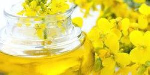 Rapeseed Oil