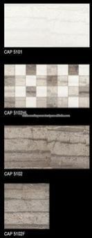 Ceramic Wall and Floor Tiles