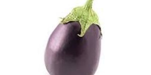 Fresh Brinjal