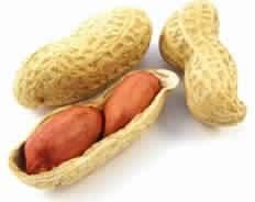 Peanut and Peanut in Shell