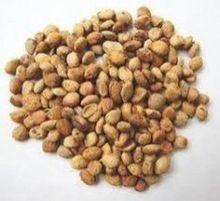 Aegle Marmelos Seeds Wood Apple Tree Bengal Quince Bhel