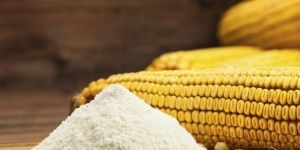 Starch Maize Yellow Corn