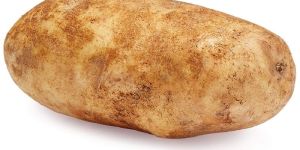 Fresh Potato