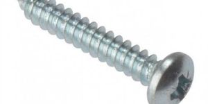 Self Tapping Screw