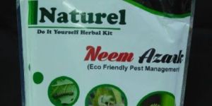 Neem Azark