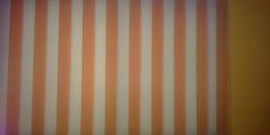 Vertical Blinds