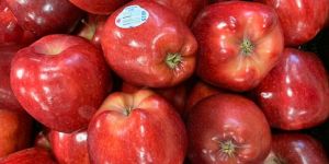 Red Delicious Apples