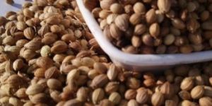 Badami Coriander Seeds