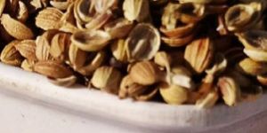 Split Coriander Seeds