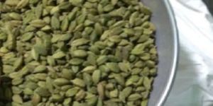 Cardamom