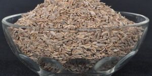 Dill Seed