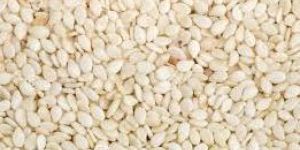 Dried Sesame Seeds