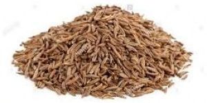 Organic Cumin Seed