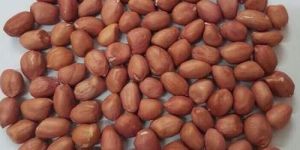 Peanut Kernel