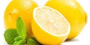 Fresh Lemon