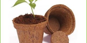 Coco Fibrous Planter Pots