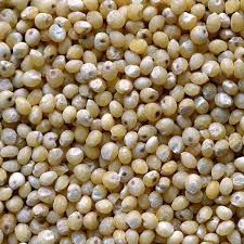 Millet Seeds