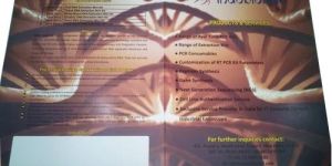 Printed Brochures