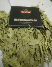 Sanay Leaf