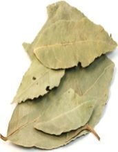 Bay Leaf
