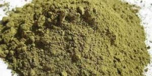 Tulsi Powder