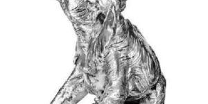 Elegant on Tree Trunk Figurine