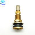 Brass Truck Valve