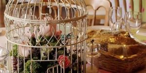 Bird Cage