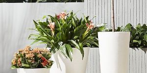 Decorative Planter