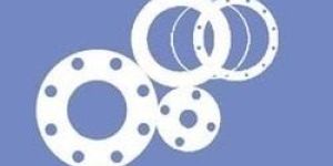 PTFE Ring Gaskets