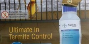 Agenda Termite Control