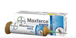 Maxforce Forte Insecticide