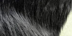Black Long Pile Fur Fabric