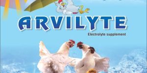 Electrolyte Supplement