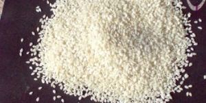 Sesame Seed