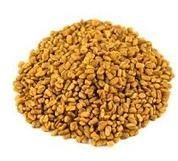 Fenugreek