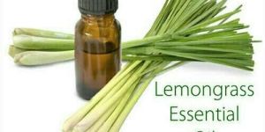 Lemon Grass Oil