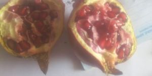 Pomegranate