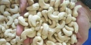 Cashew Nuts W240 W320