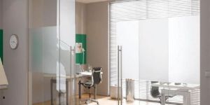 Frameless Glass Door