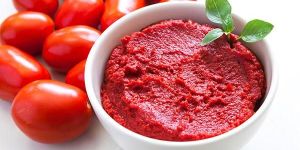 Tomato Concentrate