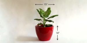 Fiberglass Planter
