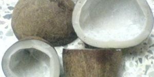 Dry Coconut