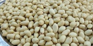 Blanched Peanuts